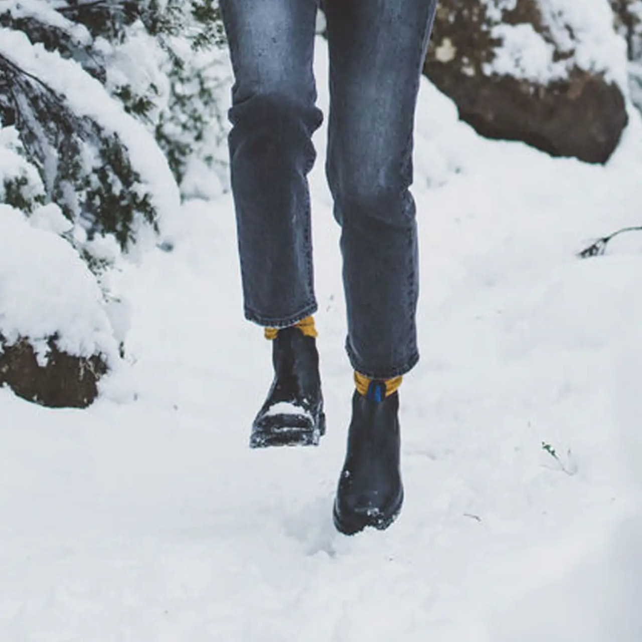566 blundstone