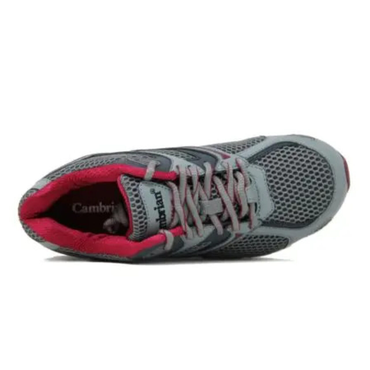 Cambrian Women's Ultra Mesh Walking Shoes- Blue